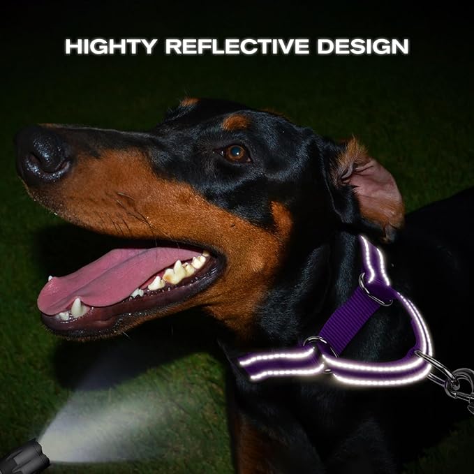 Joytale Martingale Collar for Dogs, Reflective Heavy Duty for Safety, Quick Release Buckle, Adjustable Nylon Collars for Medium Dogs Walking Training, Purple,M