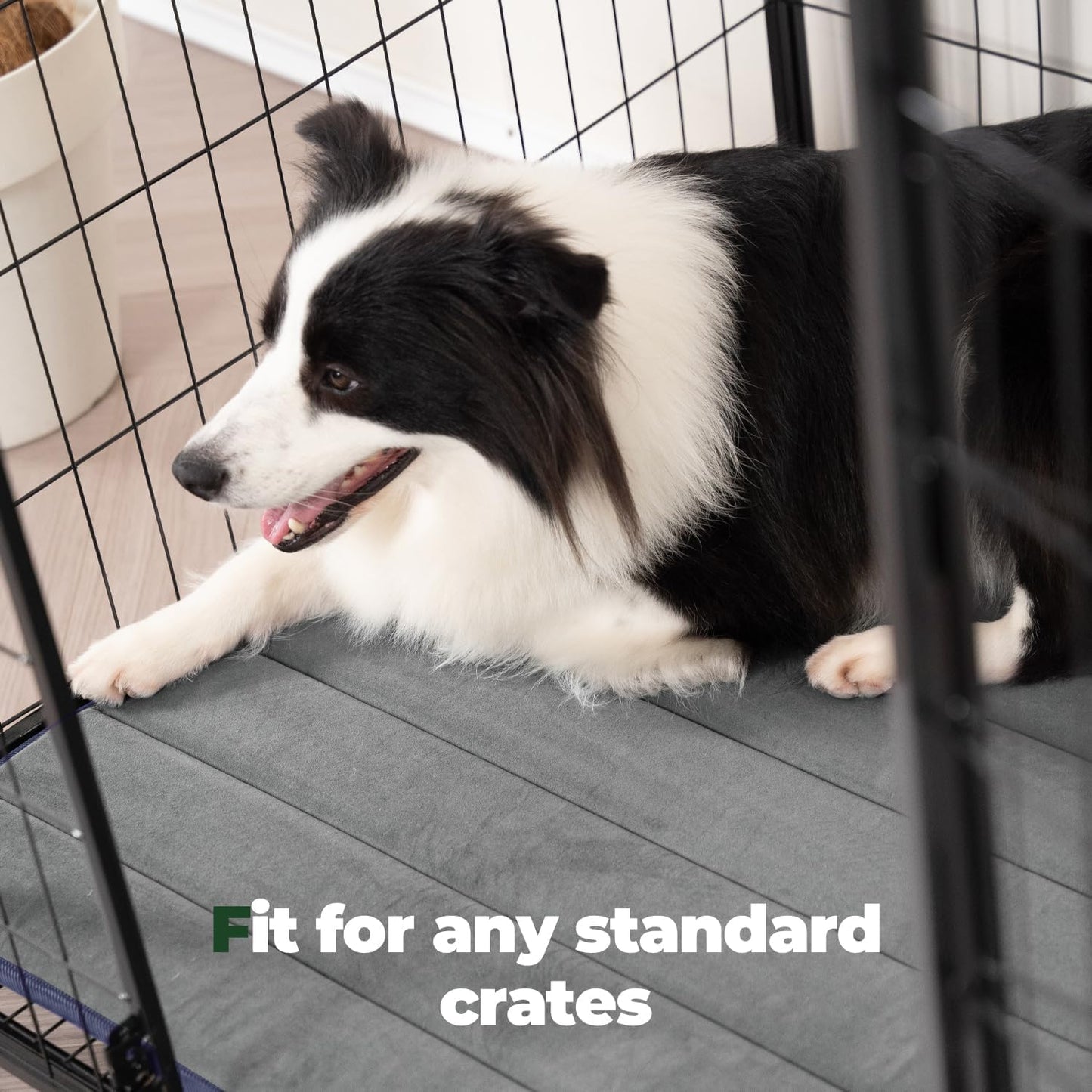 BALANCE Dog Crate Pad, Dog Foam Crate Mat Kennel Pad, Washable Water-Resistant Pet Bed Flat Dogs Cage Mat for Small Dogs, 2 Packs