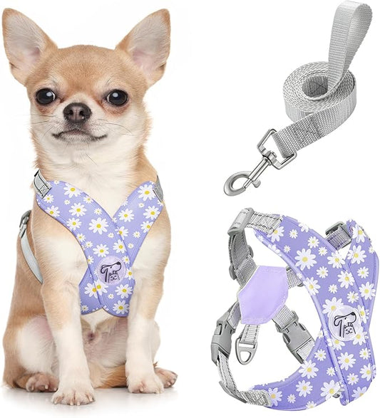 Pawaboo Small Dog Harness and Leash Set, Puppy Harness X-Frame No Pull No Choke, Dog Vest Harness Adjustable for Small Medium Sized Dogs,Soft Breathable Pet Harness for Walking Outing, S, Purple Daisy