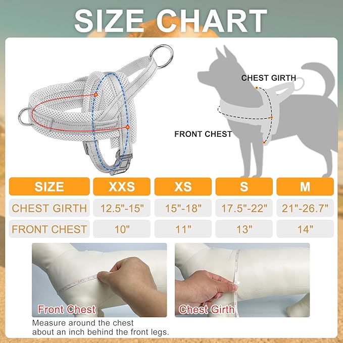 BEAUTYZOO Dog Harness for Small Dogs, No Pull Dog Harness and Leash Set, Soft Escape Proof Puppy Vest Harness with Handle, Reflective Lightweight Step in Harness for Girl Boy Dogs, Beige S
