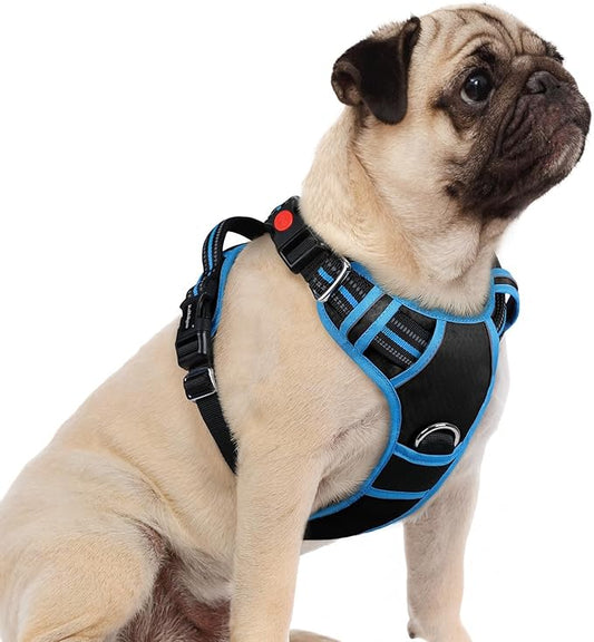rabbitgoo Dog Harness Small Sized, No Pull Dog Vest with 3 Buckles, Adjustable Soft Padded Pet Harness with Easy Control Handle and Reflective Strips, Black & Sky Blue, S