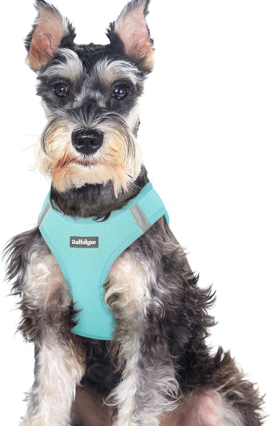 rabbitgoo Small Dog Harness, Step-in Soft Mesh Puppy Vest with Safety Buckle, Breathable Reflective Pet Harness for Large Dogs, Mint Blue XXL