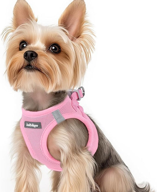 rabbitgoo Small Dog Harness, Step-in Soft Mesh Puppy Vest with Safety Buckle, Breathable Reflective Pet Harness for Small Sized Dogs, Light Pink XS