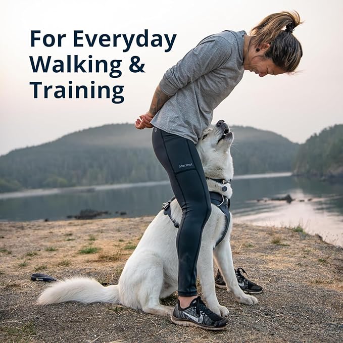 Ruffwear, Front Range Dog Harness, Reflective Soft Padded Everyday Harness with Dual Leash Clips, Adjustable and Lightweight Fit for Training or Walking for All Dogs, Spring Mountains, X-Small