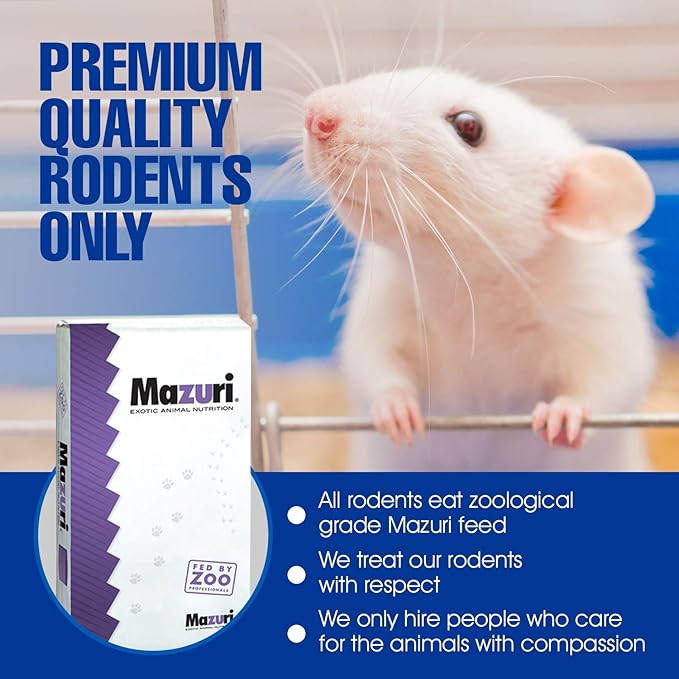 MiceDirect EST. 2003 50 Frozen Mice Combo Pack of 25 Hoppers and Weanling Feeders Snake Food for Mice for Juvenile Ball Python Adult Milk Corn Snakes (1.5-2.5 in)(500 Grams Min)