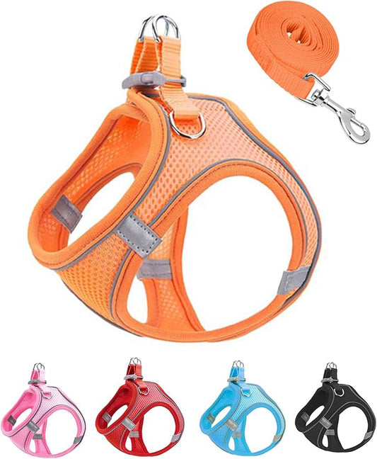 XS Orange Soft Mesh Dog Harness and Leash Set,No Escape Puppy Harnesses for Training Walking， Reflective Adjustable Puppy Vest for Small Medium Dogs, Cats (Orange, XS)