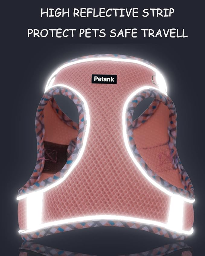 Petank Dog Harness for Small Medium Dogs No Pull, Puppy Harness and Leash Set, Step in Dog Harness for Walking, Running, Training, Small Dog Vest(Bule, S)