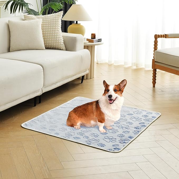 Qeils Reusable Puppy Pads, 2 Pack Washable Pee Pads for Dogs, Non Slip Wee Wee pad, Absorbent and Leakproof Training Mats for Potty, Crate, Playpen, Bed, Sofa, 28"x 42"