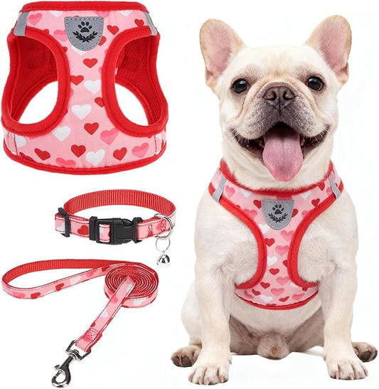 SCENEREAL Valentines Dog Harness Collar and Leash Set, Step in No Pull Soft Mesh Pet Harnesses for Small Medium Dogs Puppy Cats, No Chock Reflective Vest Harness