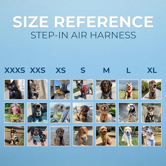 Best Pet Supplies Voyager Step-in Air Harness - All Weather Mesh, Reflective, No Pull Harness for Dogs, Cats - Secure with Hook & Loop Fastener, Buckle, Double D-Rings - Army/Black Trim, M