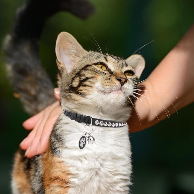 Leather Personalized Breakaway Cat Collar with Studded Bell and Safety Quick Release Buckle - Rivets Studded ID DIY Collars for Boy Girl Cats Kittens, 9" - 11.5" Black
