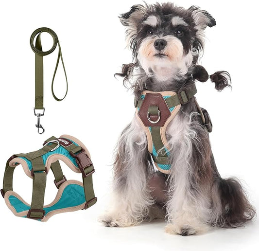 Small Dog Harness and Leash Set, Breathable Mesh Puppy Harness, Adjustable Dog Harness for Small Medium Large Dogs, No-Pull Pet Harness for Daily Walking (Lakeblue, Large)