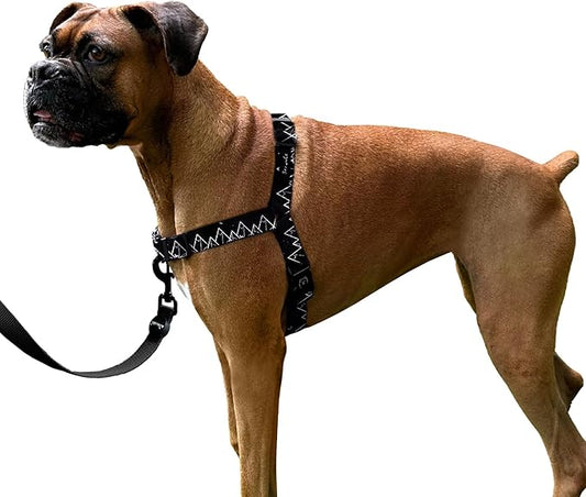 ShawnCo Dream Walk No-Pull Dog Harness- Adjustable, Comfortable, Easy to Use Pet Halter to Help Stop Pulling for Small, Medium and Large Dogs- Art Pattern Designs (Wolf Moon, S)