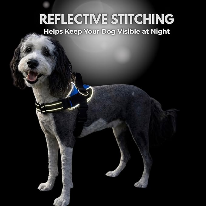 ShawnCo Essential Dog Harness, No-Pull Pet Vest with 3 Leash Clips, No Choke, Reflective, Adjustable and Padded, for Easy Walking and Training for Small, Medium and Large Dogs (White Sharks, XL)