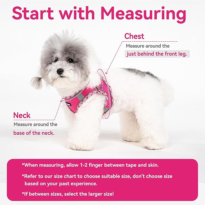 Petank Dog Harness for Small Medium Dogs No Pull, Puppy Harness and Leash Set for Walking, Running, Training, Small Dog Harness, Medium Dog Harness (Grey, M)