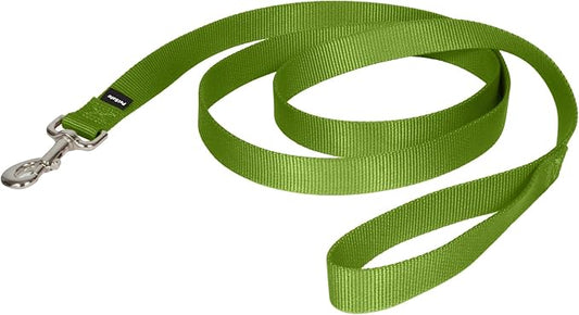 PetSafe Nylon Leash - Helps Maintain Secure Connection on Walks - Durable Pet Leash with Easy Clip - 1 in. x 6 ft. - Apple Green