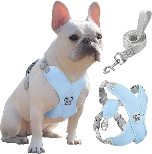 Pawaboo Small Dog Harness and Leash Set, Puppy Harness X-Frame No Pull No Choke, Dog Vest Harness Adjustable for Small Medium Sized Dogs, Soft Breathable Pet Harness for Walking Outing (L, Blue)