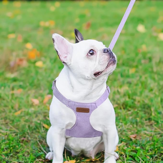 Dog Harness and Leash Set, XXS No Pull Adjustable Puppy Harness with Multifunction Purple Dog Leash and Collar, Soft No Choke Escape Proof Pet Harness Vest for Small Dogs and Cats (Purple, XXS)