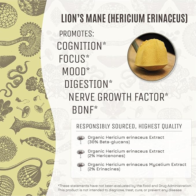 Hamilton’s Lucid Lion’s Mane | Organic Mushroom Extract Powder for Synapse Repair, Nerve Growth Factor, Focus, Memory, and Concentration | High Potency | 30% Beta Glucans | GF, Non-GMO, Vegan (500g)