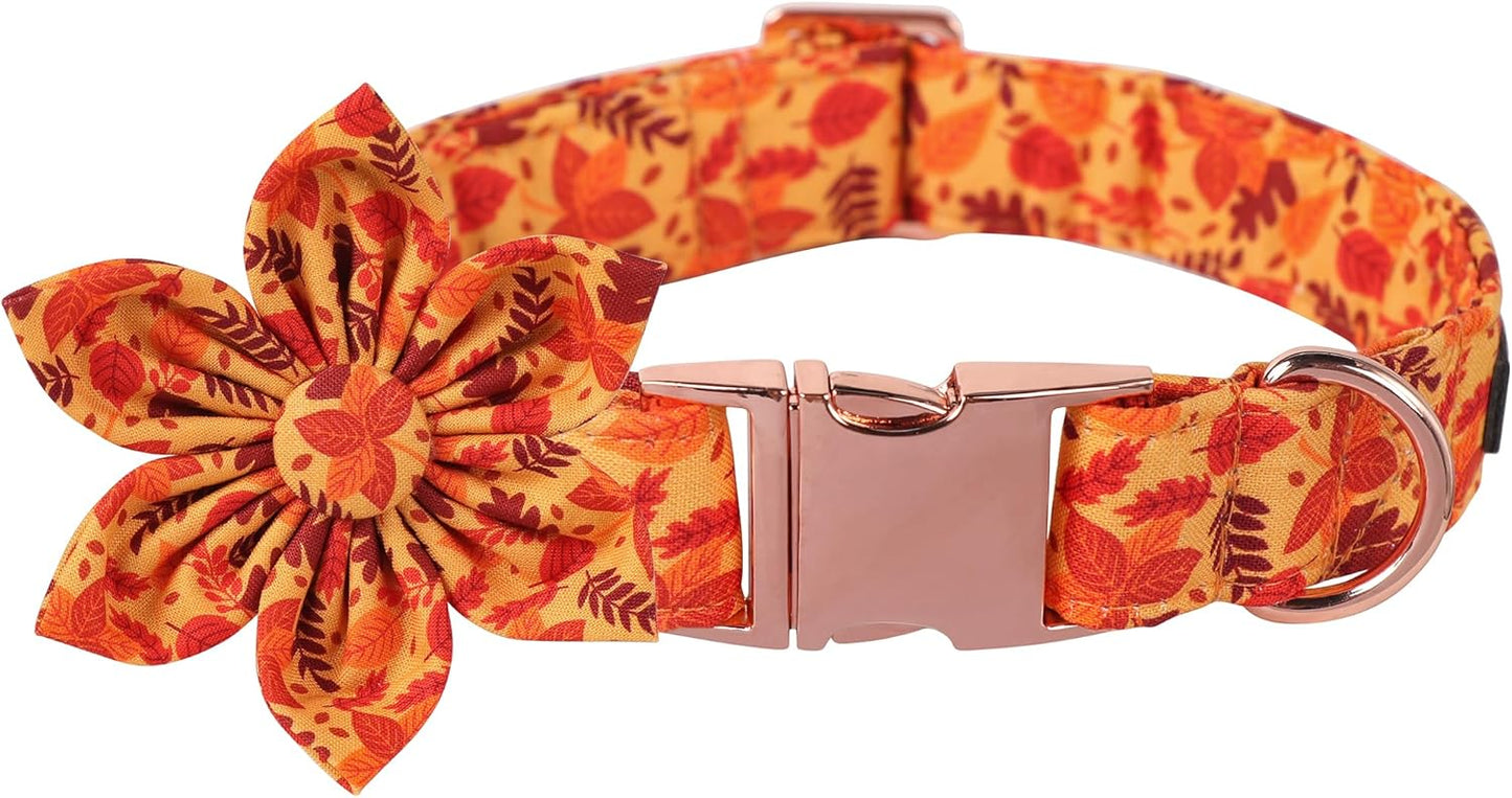 Lionet Paws Dog Collar with Flower - Cute Cotton Adjustable Flower Dog Collar with Metal Buckle for Large Dog Girl Gift, XL, Neck 16-26in