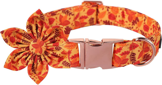 Lionet Paws Dog Collar with Flower - Cute Cotton Adjustable Flower Dog Collar with Metal Buckle for Large Dog Girl Gift, XL, Neck 16-26in