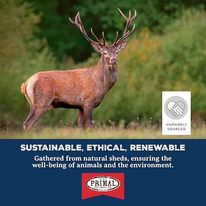 Primal Antlers for Dogs, Grade A Split Stag Antlers for Medium Canines 15-30 lb, Natural Chews for Aggressive Chewers, Naturally Shed, Long Lasting Dog Bones, 1 ct