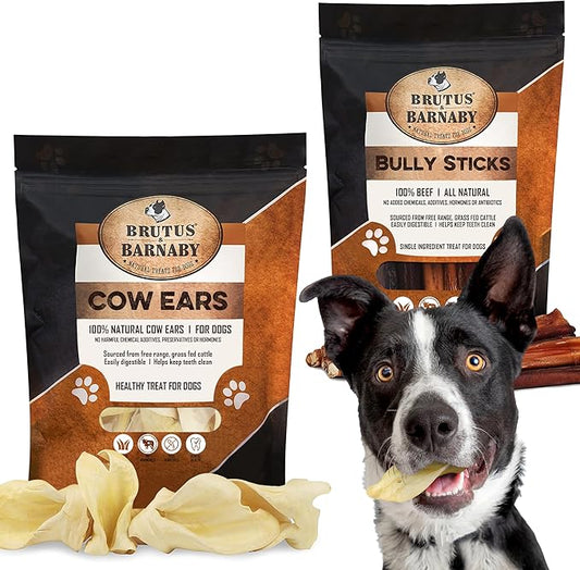 BRUTUS & BARNABY 12 Cow Ears + 12 Bully Sticks, All Natural Protein Dog Treats