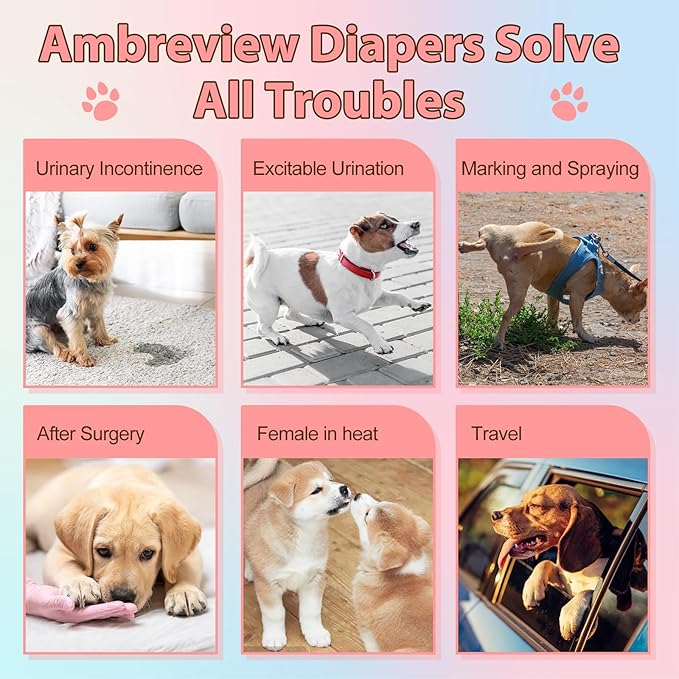 Ambreview Disposable Dog Diapers Female, Just Pull It Up, Doggie Diapers for Female Dogs, Strong Absorbency | Leak Proof, for Dogs in Heat | Elderly | Disabled, XS 10 PCS