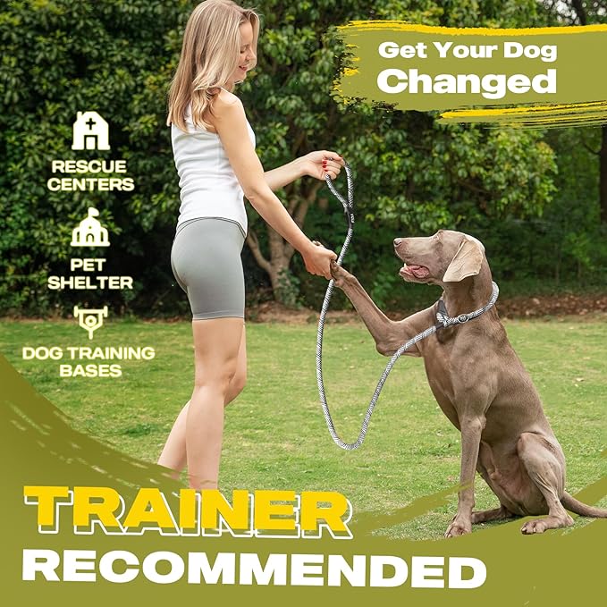 Fida Durable Slip Lead, 6 FT x 1/2" Heavy Duty Dog Loop, Comfortable Strong Rope Leash for Large, Medium Dogs, No Pull Pet Training Leash with Highly Reflective, Grey
