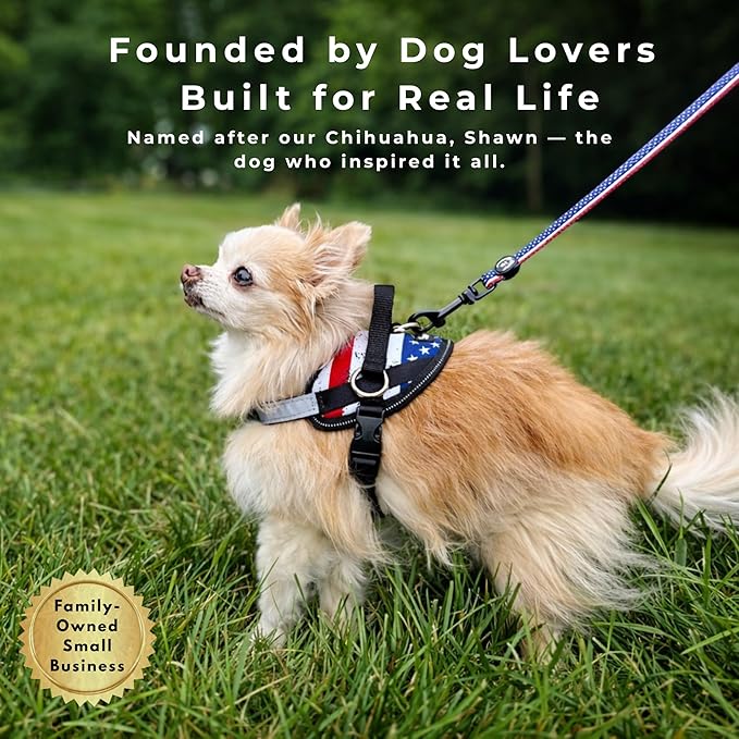 ShawnCo Essential Dog Harness, No-Pull Pet Vest with 3 Leash Clips, No Choke, Reflective, Adjustable and Padded, for Easy Walking and Training for Small, Medium and Large Dogs (Seafoam, XS)