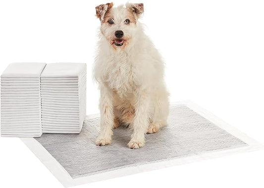 Amazon Basics Carbon Odor Control Dog and Puppy Pee Pads, 5-Layer Leak-Proof Super Absorbent, Quick-Dry Surface for Potty Training and Housebreaking, X-Large Size 28"x34", Gray, 50 Count