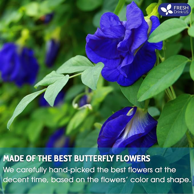 FreshDrinkUS Premium 16oz Butterfly Pea Flower Powder, 100% Natural and Pure, No Additives, No Gluten, No Sugar, Vegan