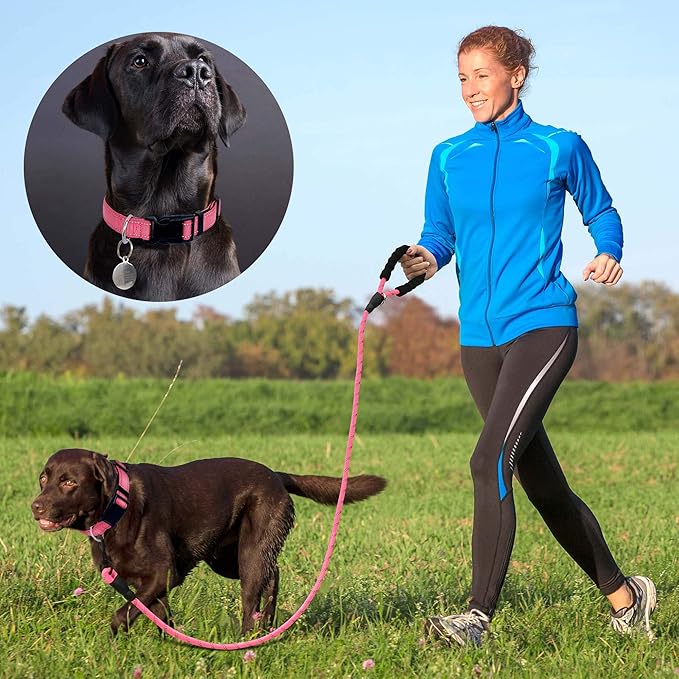 Reflective Dog Collar Padded with Soft Neoprene Breathable Adjustable Nylon Dog Collars for Small Medium Large Dogs (Small (Pack of 1), Pink Collar+Leash)