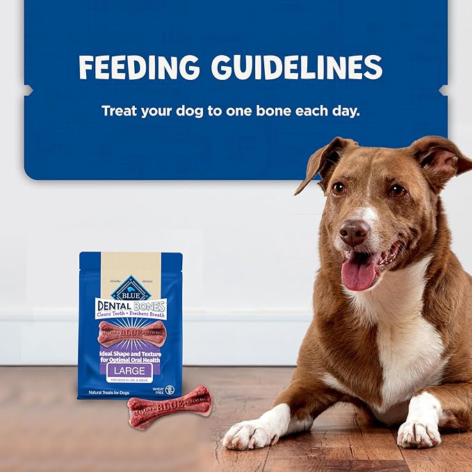 Blue Buffalo Dental Bones Large Natural Dental Chew Dog Treats Bag