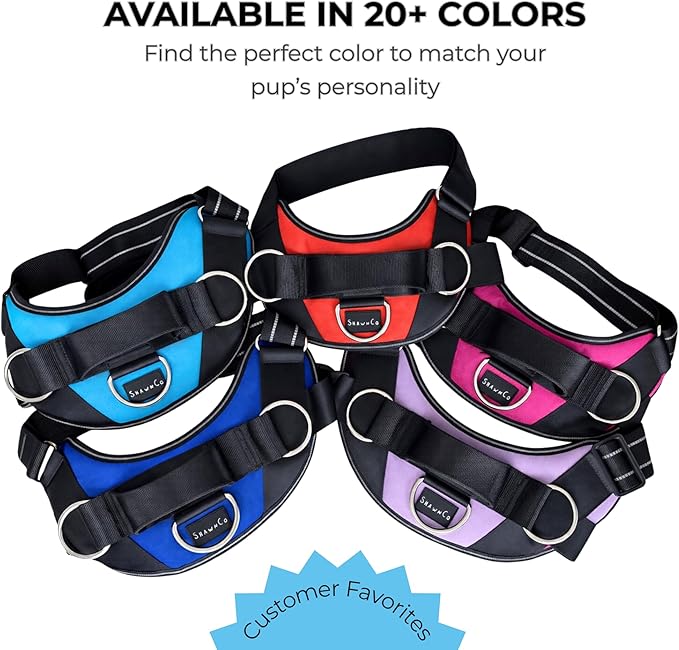 ShawnCo Essential Dog Harness, No-Pull Pet Vest with 3 Leash Clips, No Choke, Reflective, Adjustable and Padded, for Easy Walking and Training for Small, Medium and Large Dogs (Electric Blue,L)