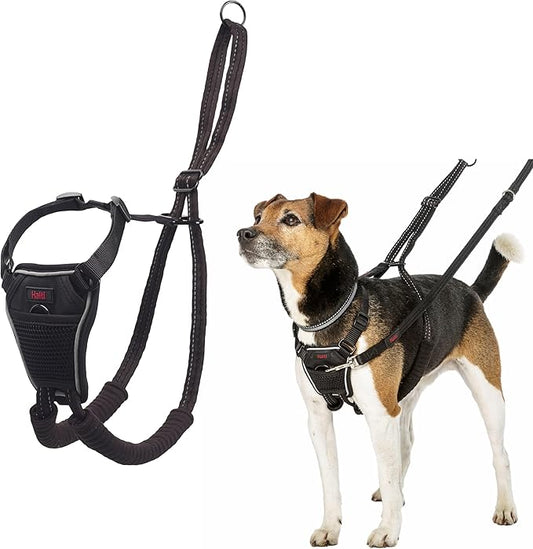 Halti No Pull Harness - Stop Your Dog Pulling on The Leash. Adjustable, Lightweight and Easy to Use. Reflective Dog Training Harness for Toy and Small Dogs (Size XS, Black)