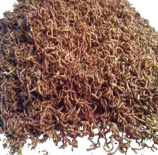 Aquatic Foods Inc. Bloodworms, Fresh Freeze Dried Grade A Floating Bloodworms for All Tropical Fish, Bettas, Discus, Cichlids, Turtles, Carnivore Carnivorous Plants Plants - 16oz Jar