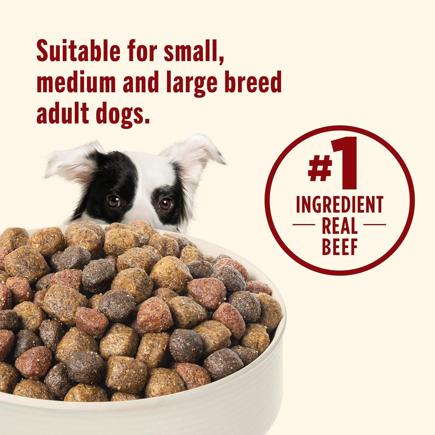 Nutrish Dry Dog Food, Real Beef, Pea & Brown Rice Recipe Whole Health Blend for Adult Dogs, 6 lb. Bag (Rachael Ray)