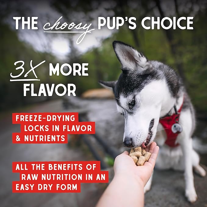 Stella & Chewy's Freeze-Dried Raw Beef Meal Mixers- Dog Food Topper and Mixer - Made with 95% Grass-Fed Beef, Organs & Bone - Perfect for Picky Eaters - Grain-Free - 1 oz (Pack of 2)