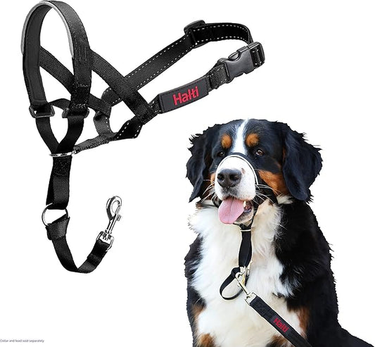 Halti Headcollar - Stop Your Dog Pulling on the Leash. Adjustable, Reflective and Lightweight, with Padded Nose Band. Dog Training Anti-Pull Collar for Large Dogs (Size 5, Black)