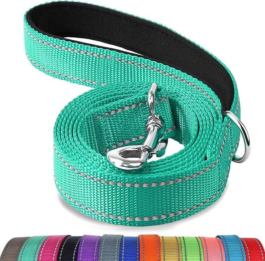 Joytale Dog Leash, 6 FT Double-Sided Reflective, Padded Handle Nylon Heavy Duty Leashes for Medium & Large Dogs Walking, Teal