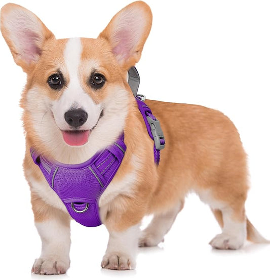 BARKBAY No Pull Dog Harness Large Reflective Dog Harness with Front Clip and Easy Control Handle for Walking Training Running with ID tag Pocket(Purple,M)