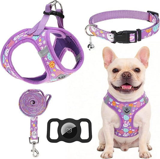 EXPAWLORER Easter Small Dog Harness - Dog Collar and Leash Set - Soft Mesh Padded Adjustable Step in Puppy Vest Harness No Pull, Reflective Escape Proof for Outdoor Walking, Bunny Egg M