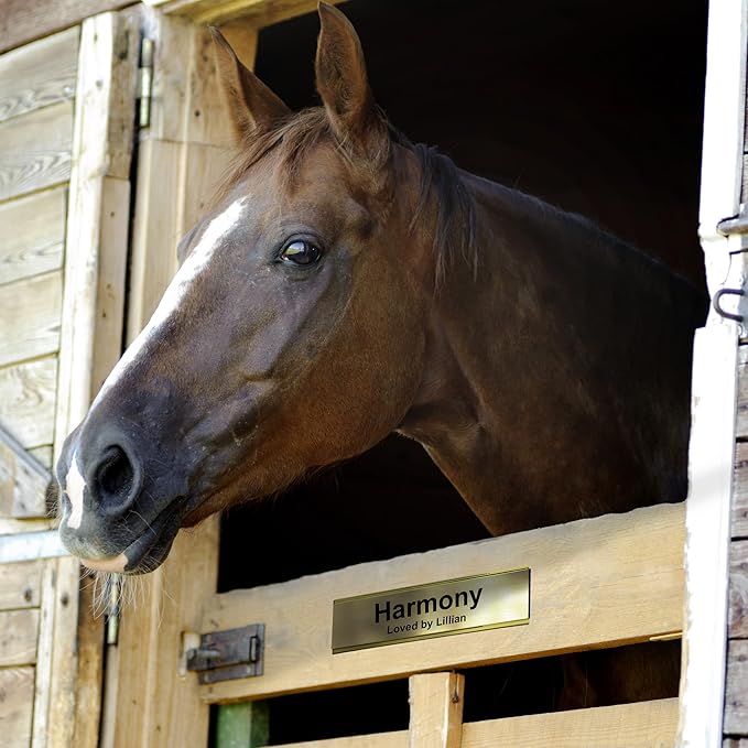 Personalized Horse Stall Name Plates, 2x6 Horse Stall Signs with Adhesive, All Weather UV Protected, Stone Granite Pattern Plastic Black Letters - Made in USA - S3