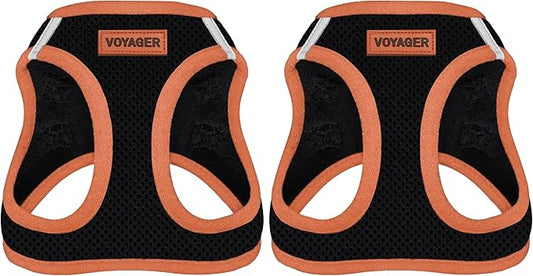 Voyager Step-in Air Dog Harness - All Weather Mesh Step in Vest Harness for Small and Medium Dogs by Best Pet Supplies - Orange Trim, M (Pack of 2)