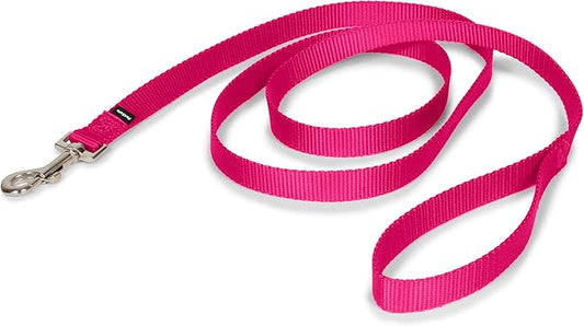 PetSafe Nylon Leash - Helps Maintain Secure Connection on Walks - Durable Pet Leash with Easy Clip - 3/4 in. x 6 ft. - Raspberry