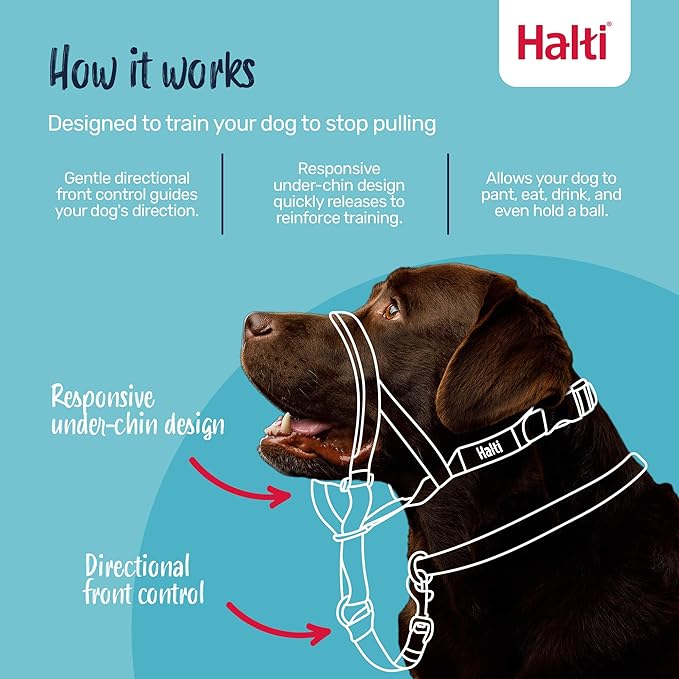 Halti Headcollar - Stop Your Dog Pulling on The Leash. Adjustable, Reflective and Lightweight, with Padded Nose Band. Dog Training Anti-Pull Collar for Small Dogs (Size 1, Forest Green)