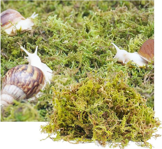 4oz Substrate for Pet Snails, Ideal for Maintain The Humidity Levels in Tank