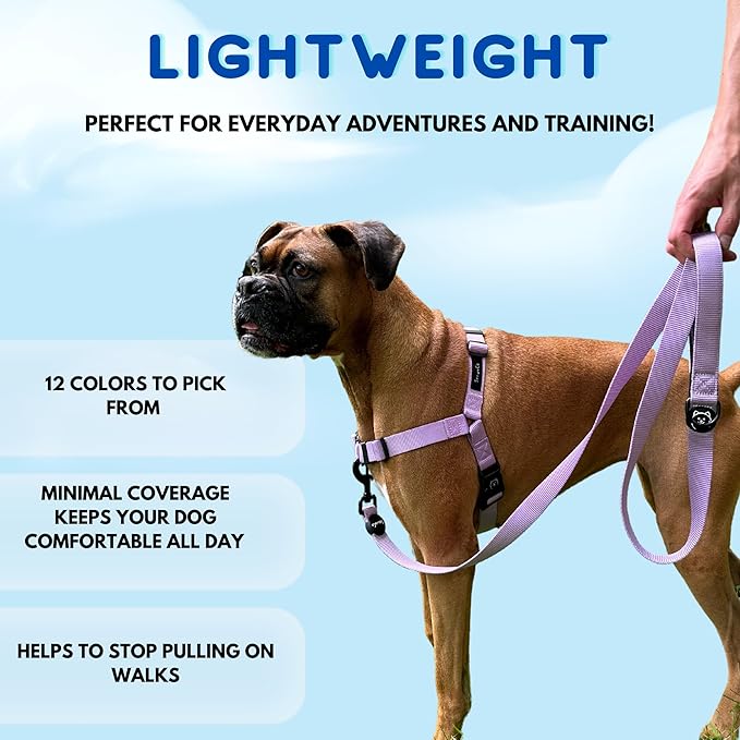 ShawnCo Dream Walk No-Pull Dog Harness- Adjustable, Comfortable, Easy to Use Pet Halter to Help Stop Pulling for Small, Medium and Large Dogs- Art Pattern Designs (Wolf Moon, L)