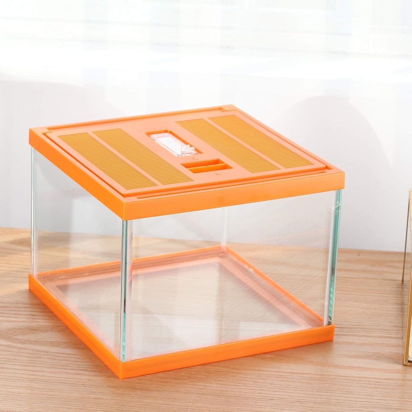 crapelles Reptile Terrarium kit Color Orange Spider Container Tarantula Box cage Gecko Habitat Insect Enclosure pet Tank Frog Carrier Tortoise Snail Container Hermit Crab House Cricket breeding